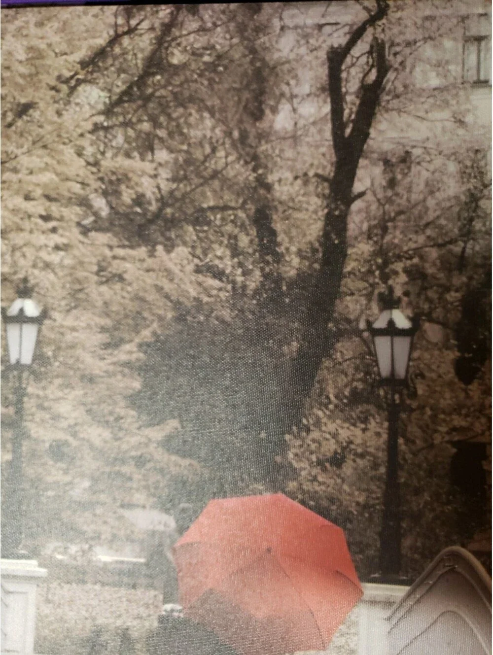 Red Umbrella Crossing Bridge Canvas Print Wall Decor Target 15” X 19”